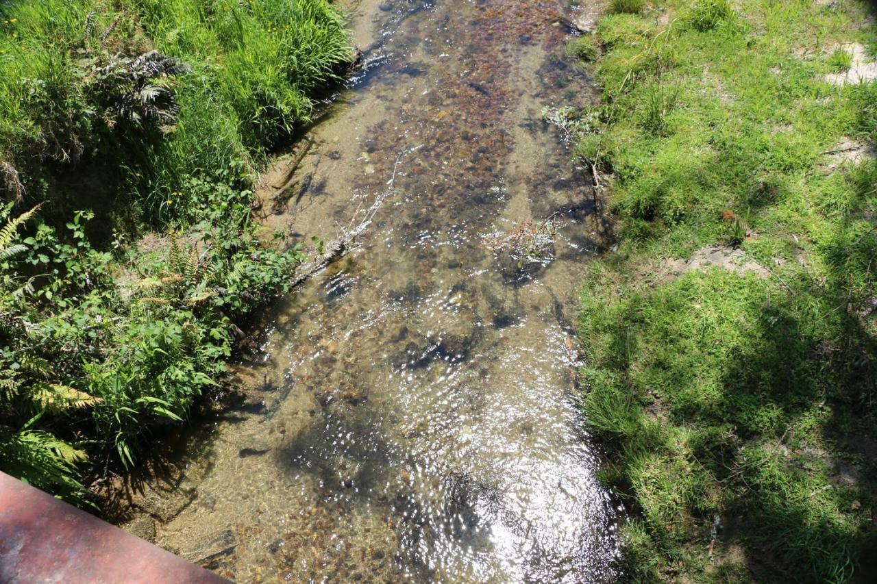 Unwind In Paradise Valley Trout At Your Door Роторуа Екстериор снимка